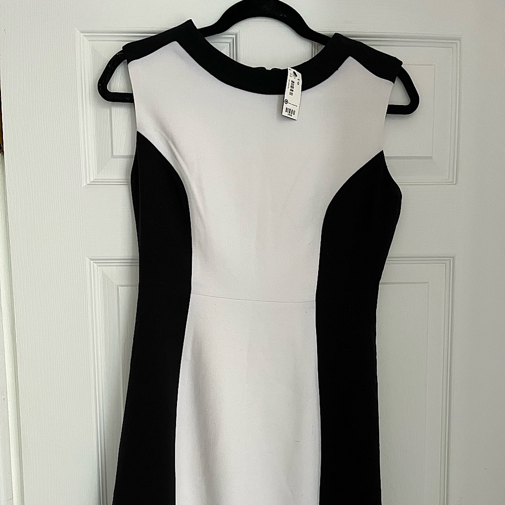 The Limited black and white sheath dress
